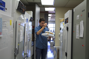Pate checks the label on a tube of fruit flies. (Photo: Emily Walla/UANews) Pate checks the label on a tube of fruit flies. (Photo: Emily Walla/UANews)